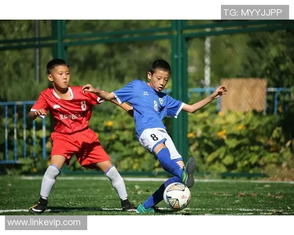 加克波的崛起之路：从青年才俊到国际赛场的闪耀明星