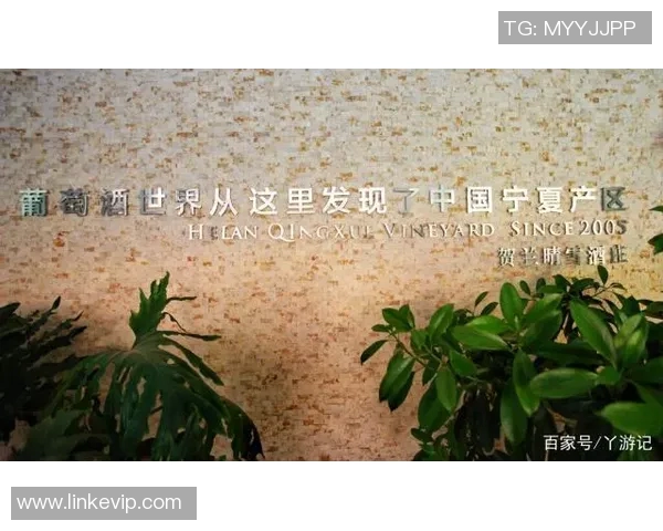 弗格的传奇之路：从默默无闻到全球瞩目的商业巨头